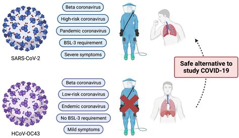 Human SARS